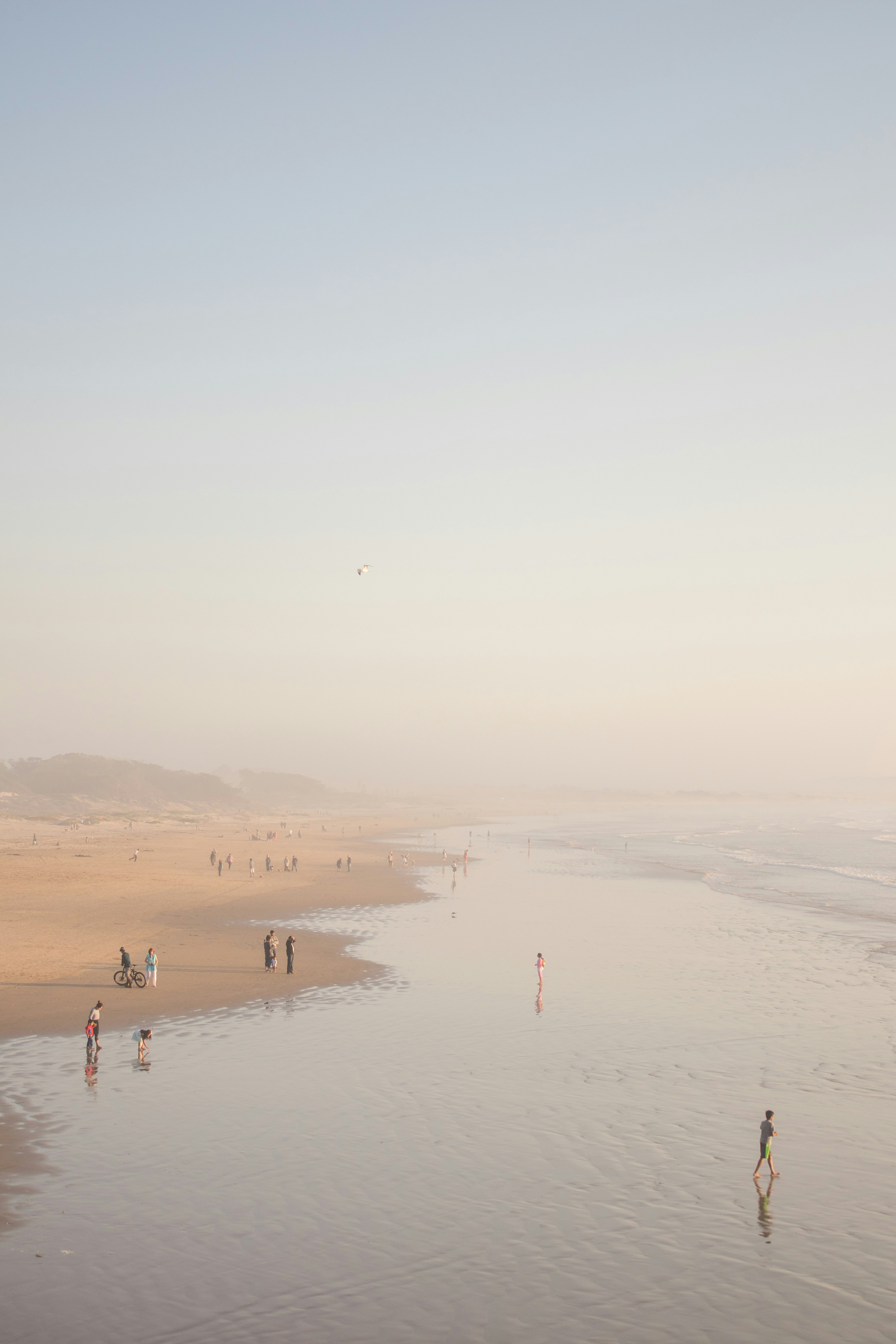 group of people on shore